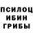 Псилоцибиновые грибы мицелий Arnold Seay