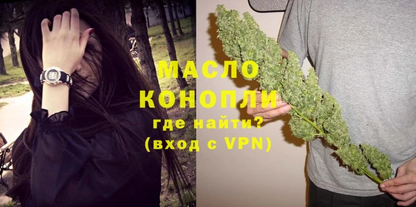 шишки Таштагол