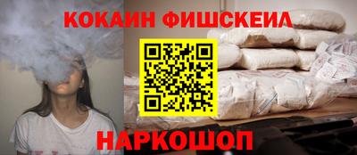 гашик Камышлов