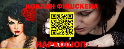 гашик Камышлов