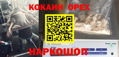 гашик Камышлов