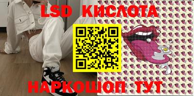 гашик Камышлов