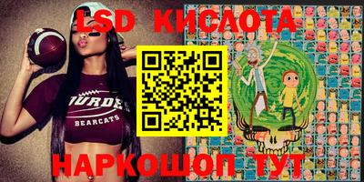 гашик Камышлов