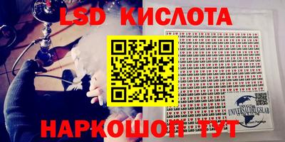 гашик Камышлов