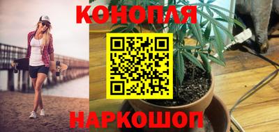 стаф Канаш