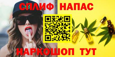 гашик Камышлов