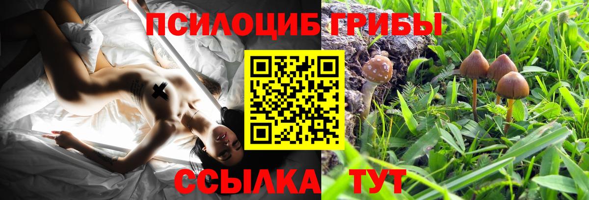 Галлюциногенные грибы Psilocybe  Галлюциногенные грибы Cubensis  Лангепас  Вход с VPN 